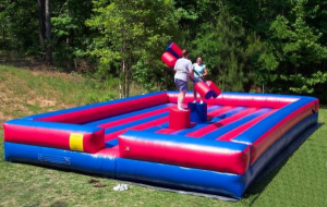 new-joust-photo-replace-other-resized-600